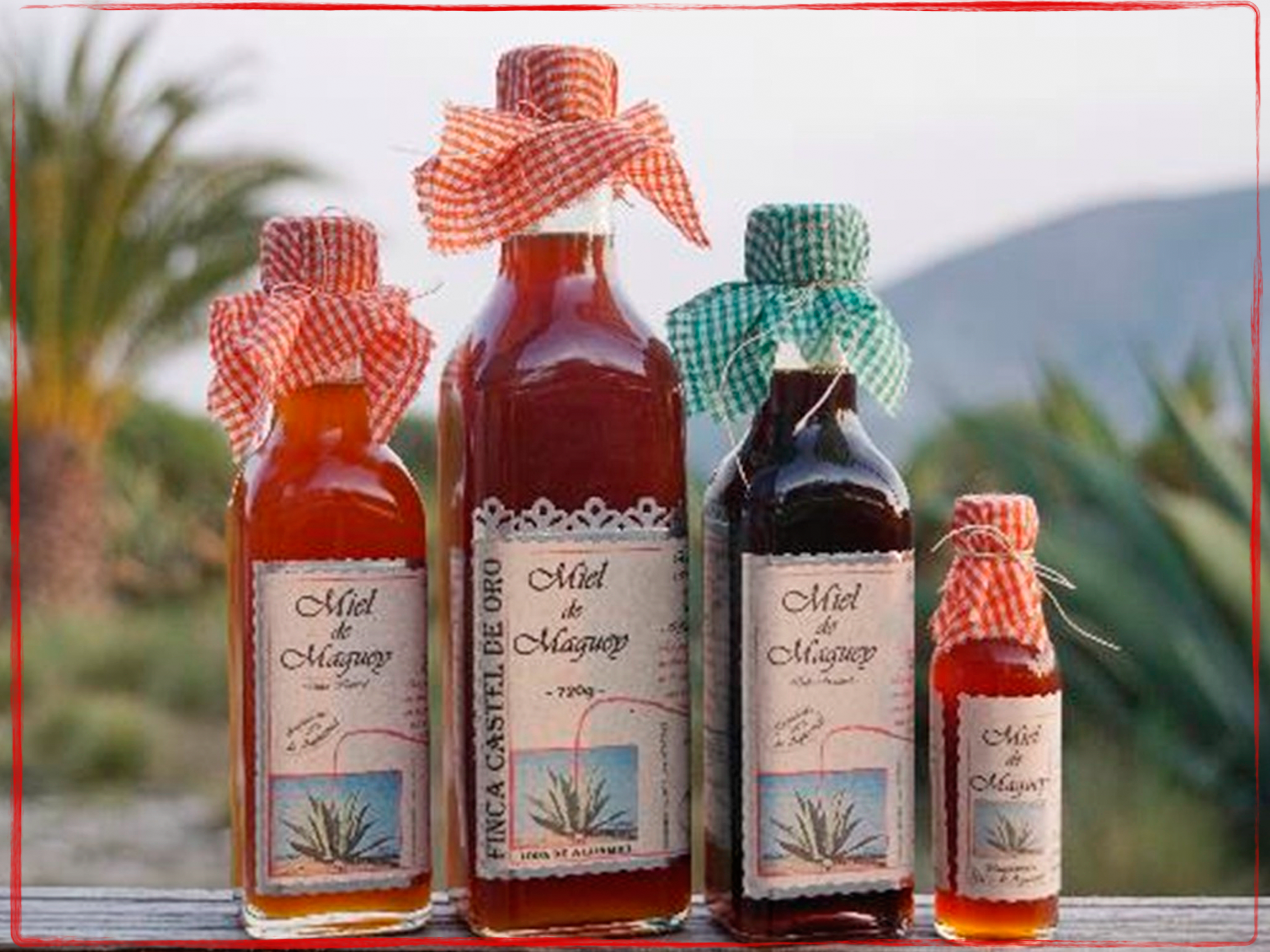 presentacion de botella de miel de maguey